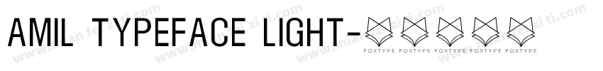 Amil Typeface Light字体转换